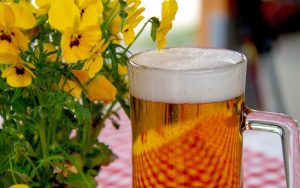 맥주 효모