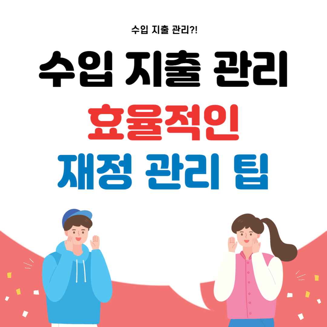 수입 지출 관리