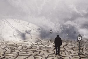 2025년 노인일자리