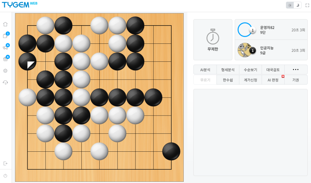 타이젬 바둑