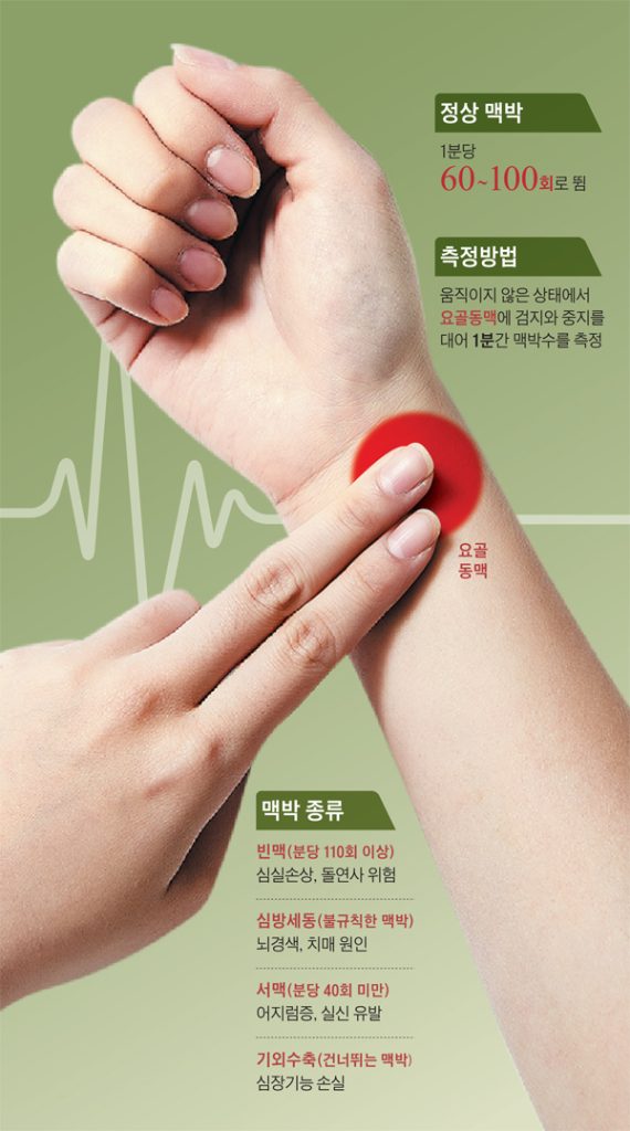 성인 정상 맥박수