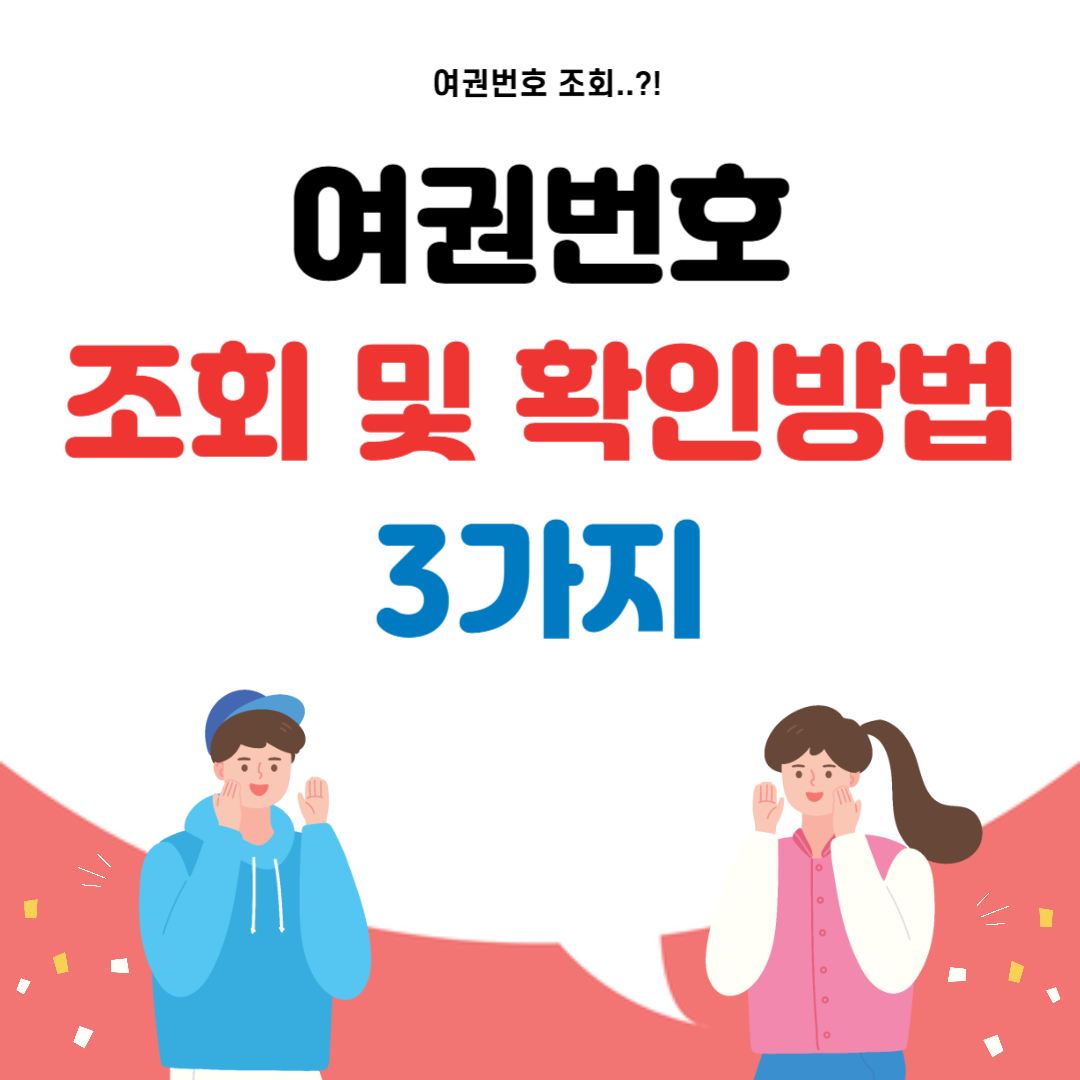 여권번호 조회